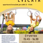Lvíčata 2025