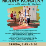 Modré korálky st 8 45