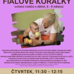 Fialové korálky